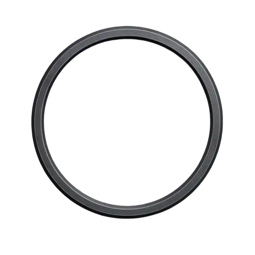 Iron